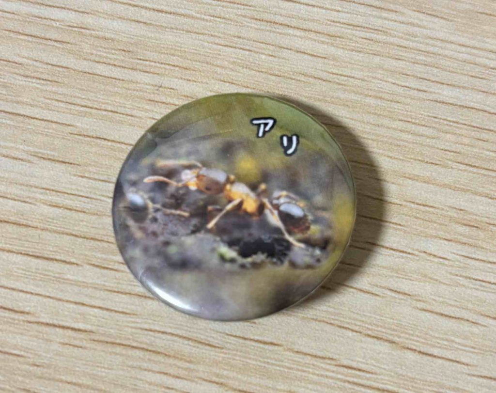 第18回むさしの環境フェスタ2025_遊んで学ぶ”親子体験レポinむさしのエコreゾート_環境政策課計画係_お土産_いきもの缶バッジ